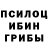 Галлюциногенные грибы Magic Shrooms KONOBO