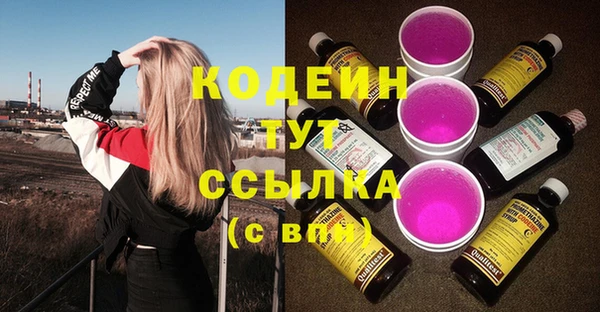 дурь Арсеньев