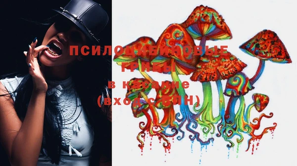 дурь Арсеньев