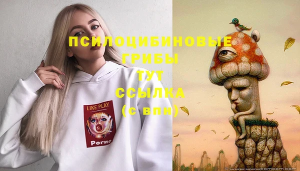хмурый Армянск