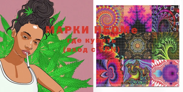 дурь Арсеньев