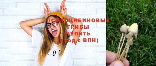 прущий лед Аркадак