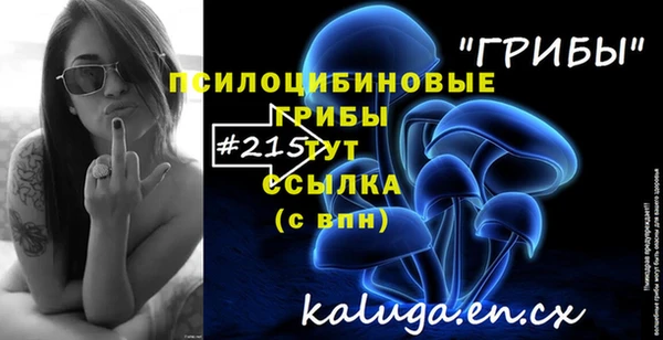 прущий лед Аркадак