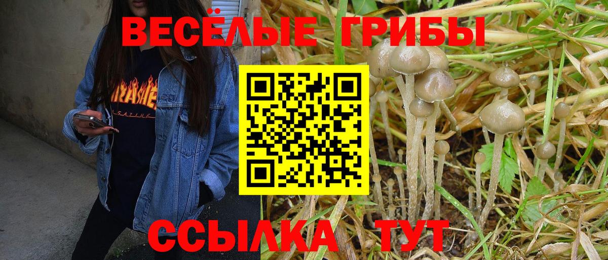 Галлюциногенные грибы прущие грибы  Галлюциногенные грибы Cubensis  Краснотурьинск  Вход с VPN 
