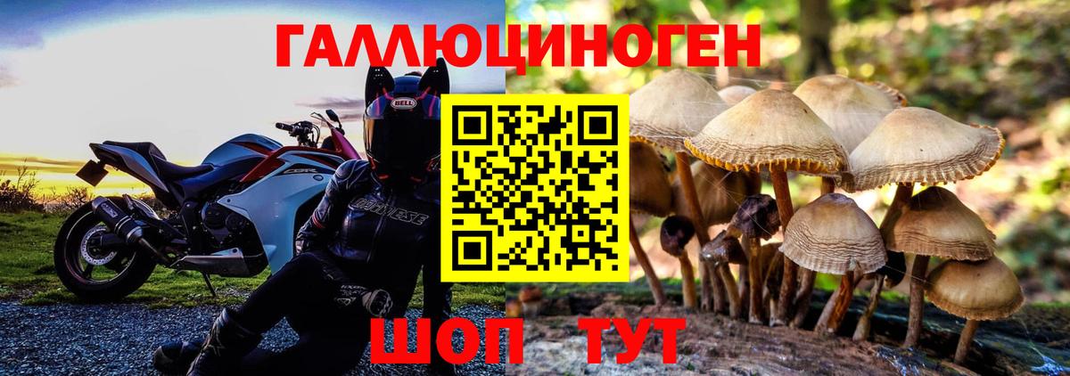 Псилоцибиновые грибы MAGIC MUSHROOMS Краснотурьинск
